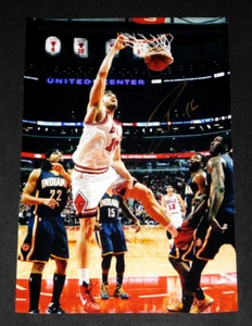 CHICAGO BULLS ALL-STAR PAU GASOLINA FIRMADA 12X18 ¡¡FOTO PATIO!!¡! - Imagen 1 de 1