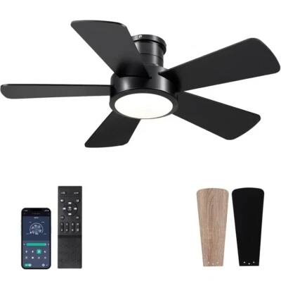Dannilong 40 inch Modern Ceiling Fans with Lights Remote/APP Control, Low Profil - Image 1 of 3