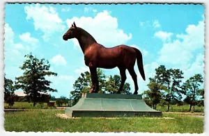 Mann O'War Pferd Statue Chrom Postkarte weit entfernte Farm Lexington Kentucky KY UNP - Bild 1 von 2
