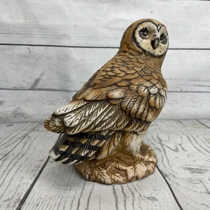 Porcelain Barn Owl Figurine Vintage 6.75” Hand Painted Wood Barred Short Eared - Picture 1 of 10