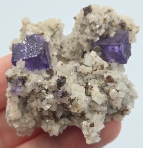 +++ FLUORITE, SPHALERITE, DOLOMITE ELMWOOD MINE, SMITH COUNTY, TENNESSEE +++ - Picture 1 of 8