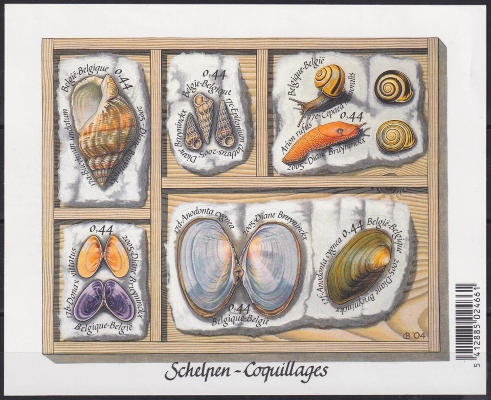 F-EX53158 BELGIUM MNH 2005 CAPARAZÓN DE VIDA SILVESTRE MARINA ARRECIFE DE CORAL. Foto 1 de 1