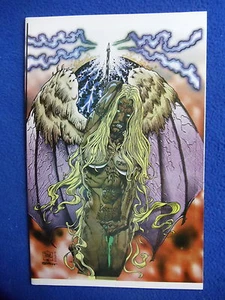 STAIN BOOK #2 VARIANT VIGIL COVER 1998 SIGNED BY TIM TYLER & MIKE BOECKELMAN - Picture 1 of 1