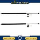 Focus Auto Parts  Hatch Lift Support 2X For 1981 Till 1985 Mazda Glc
