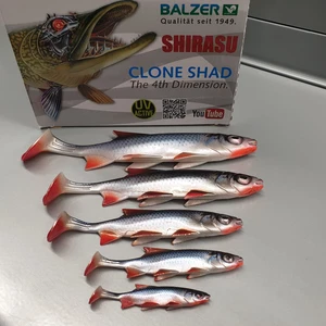 Balzer Shirasu Clone Shad Roach 6,5cm 9cm 12cm 15cm 18cm NEW 3D UV Photo Print