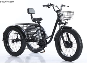 20 Zoll 48V Elektro-Dreirad mit 500W Motor LCD-Display 140kg Tragkraft CE Trike - Bild 1 von 10