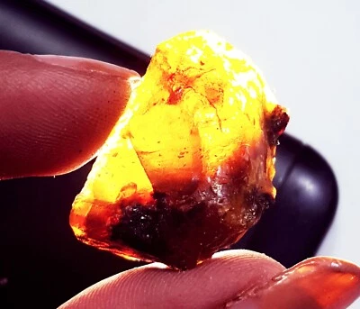 100% Natürlicher Bernstein Roh 12,65 Ct Lose Edelstein Mit Kostenloses Geschenk - Bild 1 von 4