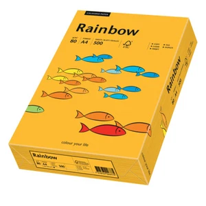Papyrus Kopierpapier Rainbow mittelorange DIN A4 80g 500 Blatt - Picture 1 of 1