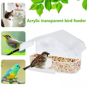 Window Hanging Wild Bird Seed Feeder Suction Cup Clear Viewing Feeding 〼+ - Picture 1 of 9