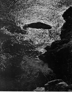Edward Weston / Prospectus only for My Camera on Point Lobos 30 Photographs 1st - Bild 1 von 2