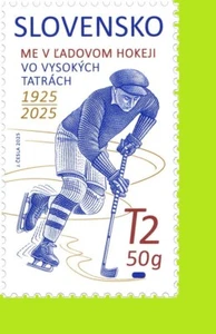Eslovaquia 2025 - Campeonato Europeo de Hockey sobre Hielo - Deporte - MNH - Imagen 1 de 1