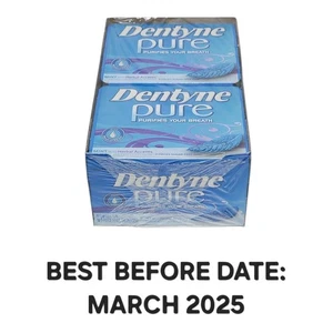 Dentyne Pure Mint with Herbal Accents Sugar Free Gum, 10 Packs of 9 Pieces  - Picture 1 of 11