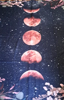 Moon Phase Fabric Shower Curtain Black Pink Floral Edge Celestial Mystical - Image 1 of 4