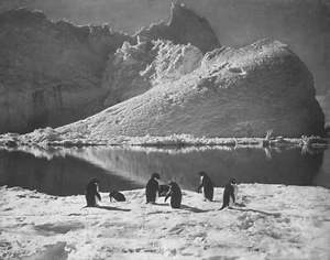 Herbert Ponting - Summertime Opening Ice & Penguins (1910) - 17" x 22" Art Print - Picture 1 of 1