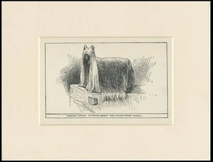 YORKSHIRE TERRIER RARE ANTIQUE 1900 ENGRAVING NAMED DOG PRINT READY MOUNTED - Picture 1 of 1