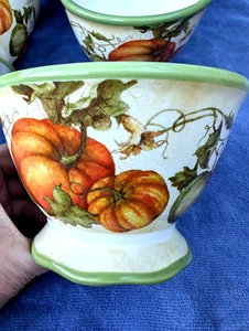 PIER 1 IMPORTS "HARVEST GARDEN" CRACKLE Autumn PUMPKINS Soup Salad Cereal Bowl - Picture 1 of 5