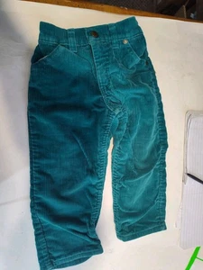Jungen Kleinkind Oshkosh Flanell gefütterte Cordhose grün 3T - Bild 1 von 6