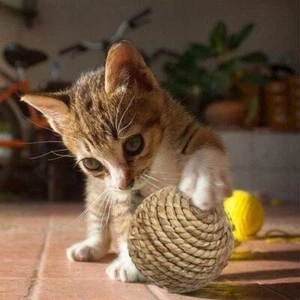 Regalo de juguete de bola de hierba Sepak Takraw para gatos y perros pequeños. - Imagen 1 de 6