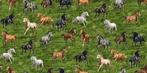 Handmade Valance or Curtain Panel Giddy Up Horse - Picture 1 of 7
