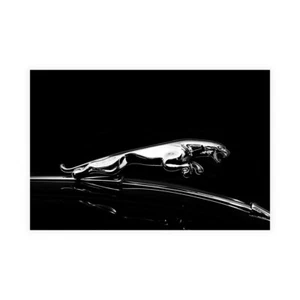 Impresión sobre lienzo sobre papel póster o imagen Rogan Mark Jaguar - Imagen 1 de 2