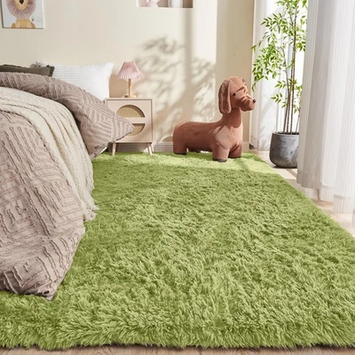 6x9 Light Green Rugs for Bedroom, Ultra-Soft Fluffy Area Rugs for Living Room... - Image 1 of 4