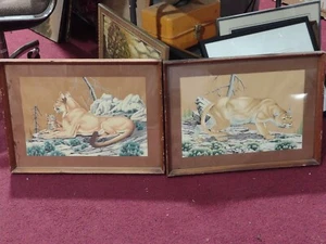 (2) Vintage Colorado Charles Bunnell Mountain Lion  Cub Serigraph 12”x17” Framed - Picture 1 of 13