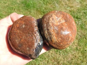 Pair of Naturally Polished ROOT-BEER CHERT Agate Nodules (27.8oz total) RARE! - Picture 1 of 24