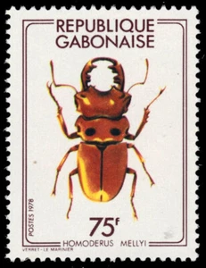 GABON 406 - Stag Beetle "Homoderus mellyi" (pb98491) - Picture 1 of 1