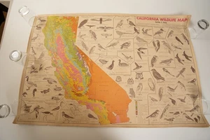 California Wild Life Map Birds (PSTR-Y18/JSF6) Poster Amalgamated Lithographers - Picture 1 of 11