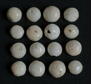 Genuine White Coral Round Shape AA+ Quality Natural Japanese Coral Gemstone #667 - Picture 1 of 11