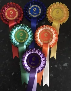 Rosette da esposizione cani 1°-6° 2 livelli grandi 68mm centri *SPEDIZIONE GRATUITA* - Foto 1 di 2