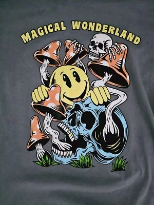 Camiseta gris manga corta Dikotomy Magical Wonderland para hombre talla XL  Foto 1 de 4