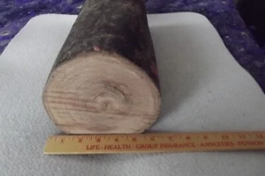 Red Elm Turning Log 6" X 15 1/2", Blank/Block - Picture 1 of 7