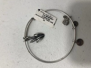 alex and ani Secret garden cattail bracelet - Picture 1 of 2