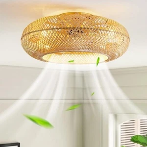20 Inch Boho Caged Ceiling Fan with Light Flush Mount - Picture 1 of 4