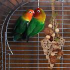 Cage Decorated Hanging Swing Parrot Supplies for Budgie