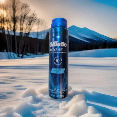 Spray seco antitranspirante Gillette Dry Shield protección duradera hielo ártico Foto 1 de 4