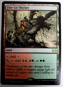 MTG: Double Masters - Fire-Lit Thicket - Rare - #317 - NM - Bild 1 von 1