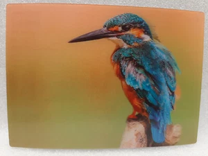 3D Lenticular Postcard Bird Kingfisher by Schoening Verlag, new - Picture 1 of 1