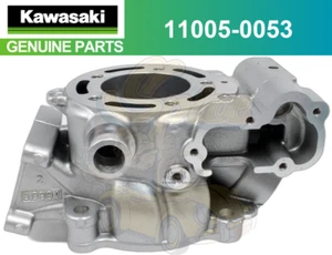 Motor cilindro Kawasaki KX100 2006-2013 genuino 11005-0053 - Imagen 1 de 4