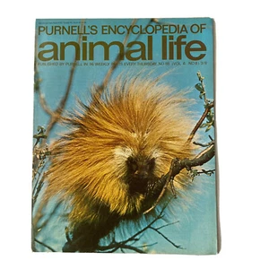 Purnell’s Encyclopedia Of Animal Life Magazine Volume 6 Number 8 - Picture 1 of 9