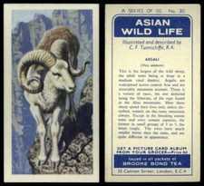 Argali #30 Asian Wild Life 1962 Brooke Bond Tea Card