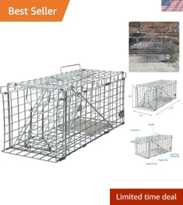 Humane Heavy Duty Squirrel Trap - Collapsible Metal Cage for Small Animals - Picture 1 of 8