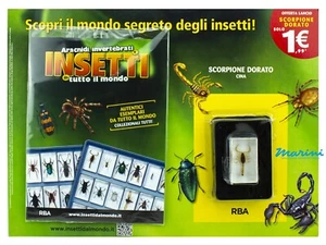 COLLEZIONE RBA INSETTI DA TUTTO IL MONDO SCORPIONE DORATO CINA 1° USCITA - Bild 1 von 3