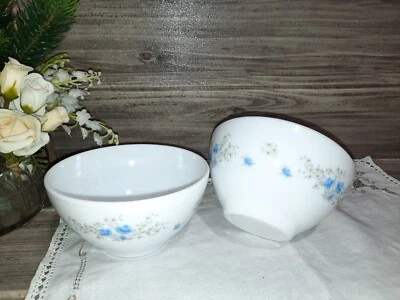 ARCOPAL FRANCE VINTAGE ANNI 70 SERIE ROMANTIQUE  DUE SCODELLE  TAZZE CM 13H7... - Immagine 1 di 4