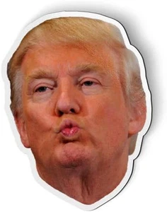 Donald Trump Face - MAGNET - Car Fridge Locker - SELECT SIZE - Picture 1 of 12