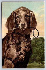 AK geprägter brauner Spaniel mit Leine im Mund Biesen Nr6850 AV7 - Bild 1 von 3