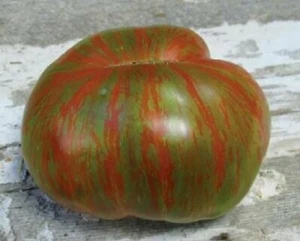 Tomate jabalí grande con barras - más de 5 semillas - ¡Herencia americana! P 291 - Imagen 1 de 1