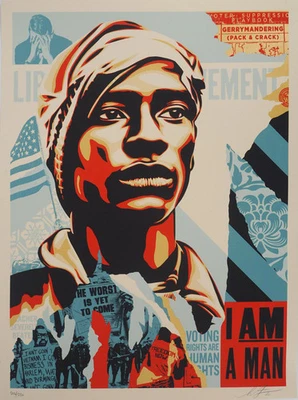 Shepard Fairey (Obey) : Voting Rights Are Human - Lithografie Unterzeichnet - Bild 1 von 4