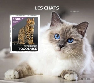 Togo - 2019 Cat Breeds on Stamps - Stamp Souvenir Sheet - TG190439b - Picture 1 of 1